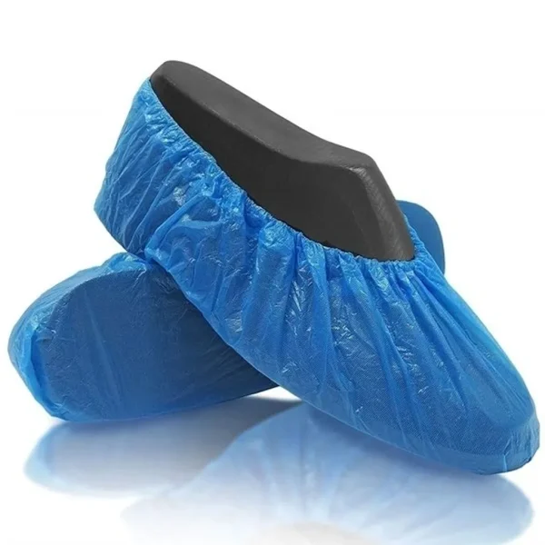 shoe1